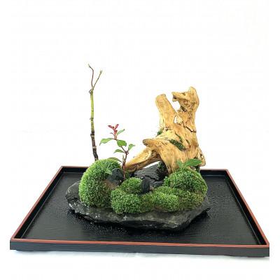 ふるさと納税 豊川市 苔盆景川石山水画は、心を癒す美しい自然の景観をお部屋に届けるアイテムです。