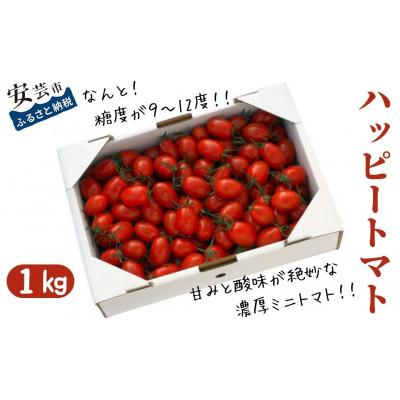 ふるさと納税 安芸市 ハッピートマト1kg