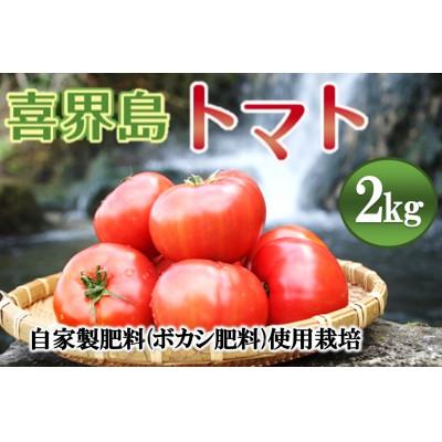 ふるさと納税 喜界町 『喜界島トマト』自家製肥料(ボカシ肥料)使用栽培 2kg