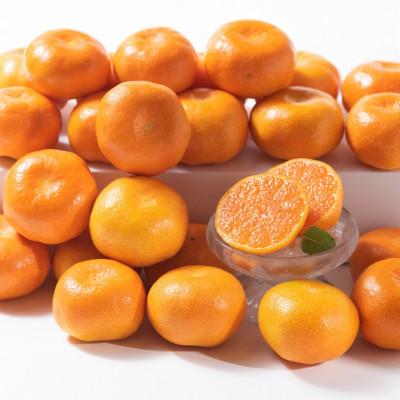 ふるさと納税 鳥栖市 柑橘の名産地!佐賀産[夏]のハウスみかんギフト箱(約20-30玉)(鳥栖市)