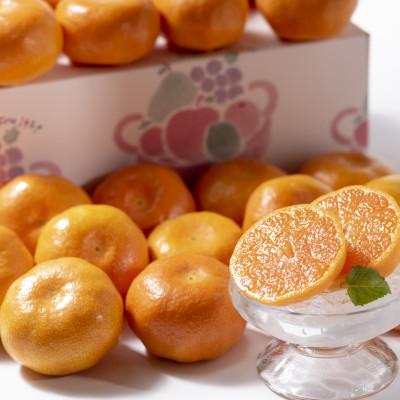 ふるさと納税 鳥栖市 柑橘の名産地!佐賀産[夏]のハウスみかん約2kg(鳥栖市)