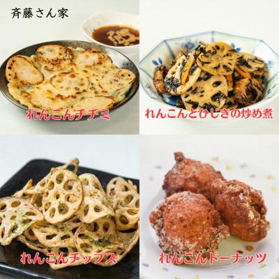 ふるさと納税 宇城市 乾燥 レンコン & パウダー セット 熊本県産 れんこん 100% 使用 【斎藤さん家】 |  | 02