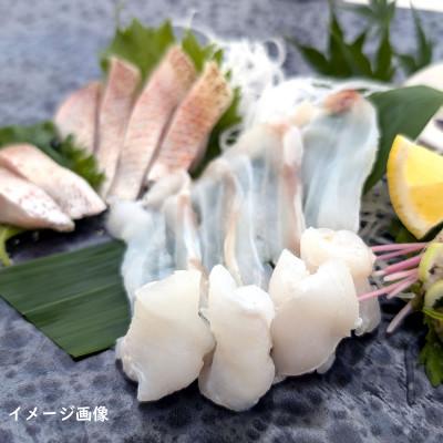 ふるさと納税 新温泉町 熟成　刺身・しゃぶしゃぶ用　天然クエ　2パック　高鮮度3D凍結 小分け 高級魚アラ 生食可の白身魚 |  | 02