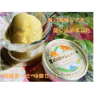 ふるさと納税 静岡市 [果樹園のジェラート]柑橘食べ比べ6個セット