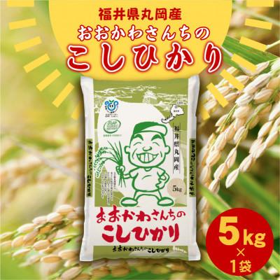 ふるさと納税 坂井市 おおかわさんちのコシヒカリ 5kg [A-10810]