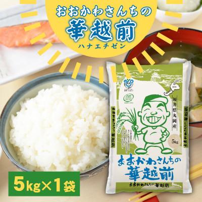 ふるさと納税 坂井市 おおかわさんちの華越前 5kg [A-10811]