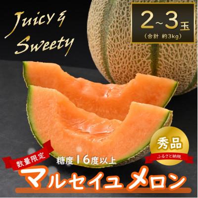 ふるさと納税 あわら市 [先行予約]佐藤農園のマルセイユメロン 約3kg前後[秀品](2〜3玉入) 赤肉メロン