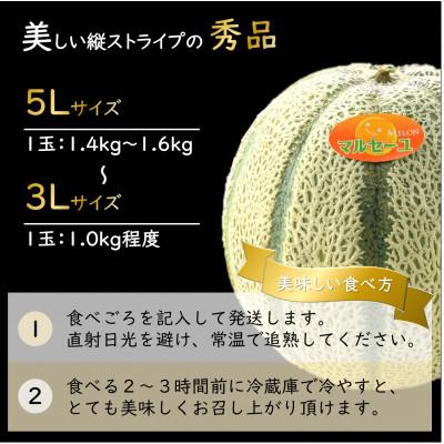 ふるさと納税 あわら市 【先行予約】佐藤農園のマルセイユメロン 約3kg前後《秀品》(2〜3玉入)　赤肉メロン |  | 01