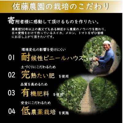 ふるさと納税 あわら市 【先行予約】佐藤農園のマルセイユメロン 約3kg前後《秀品》(2〜3玉入)　赤肉メロン |  | 03
