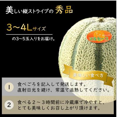 ふるさと納税 あわら市 【先行予約】佐藤農園のマルセイユメロン 約5kg《秀品》(3〜5玉入)　赤肉メロン |  | 01