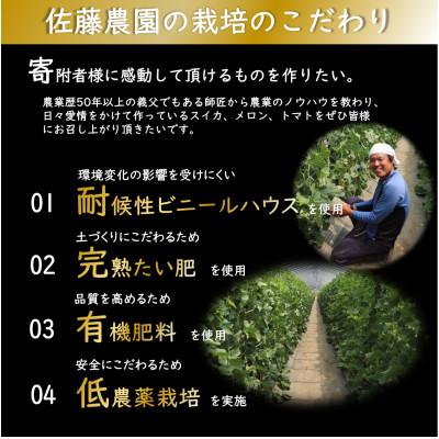 ふるさと納税 あわら市 【先行予約】佐藤農園のマルセイユメロン 約5kg《秀品》(3〜5玉入)　赤肉メロン |  | 03