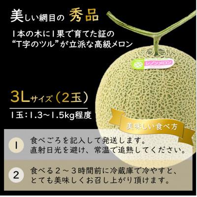ふるさと納税 あわら市 【先行受付】一株一果採り 高級赤肉メロン 3L 2玉入 約2.6〜3kg《秀品》佐藤農園の赤肉メロン |  | 01
