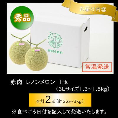 ふるさと納税 あわら市 【先行受付】一株一果採り 高級赤肉メロン 3L 2玉入 約2.6〜3kg《秀品》佐藤農園の赤肉メロン |  | 02