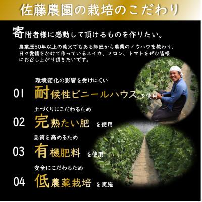 ふるさと納税 あわら市 【先行受付】一株一果採り 高級赤肉メロン 3L 2玉入 約2.6〜3kg《秀品》佐藤農園の赤肉メロン |  | 03