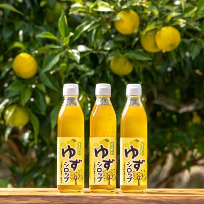 ふるさと納税 東吉野村 ゆずシロップ 300ml×3本入