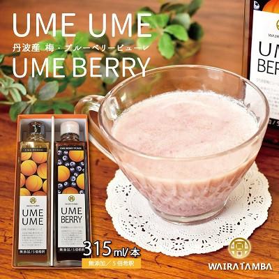 ふるさと納税 京丹波町 UMEUME(梅)・UMEBERRY(梅ベリー) 丹波・梅ピューレ