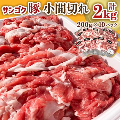 ふるさと納税 小美玉市 サンゴク豚 小間切れ10パック