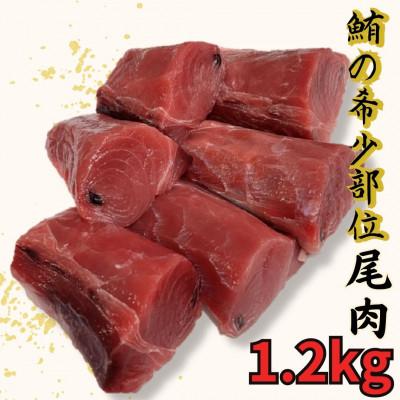 ふるさと納税 三浦市 目鉢鮪尾の身(皮・骨なし)