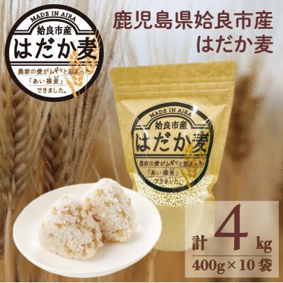 ふるさと納税 姶良市 姶良市産はだか麦[4kg]400g×10袋