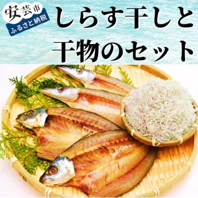 ふるさと納税 安芸市 田渕水産のしらす干し、干物セット