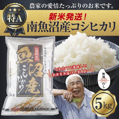ふるさと納税 南魚沼市 [令和8年産 新米] 無地のし 南魚沼産 コシヒカリ 5kg (美味しいお米の炊き方ガイド付)