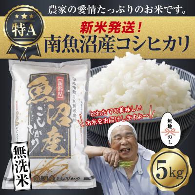 ふるさと納税 南魚沼市 [令和8年産 新米] 無地のし 無洗米 南魚沼産 コシヒカリ 5kg (お米の炊き方ガイド付)