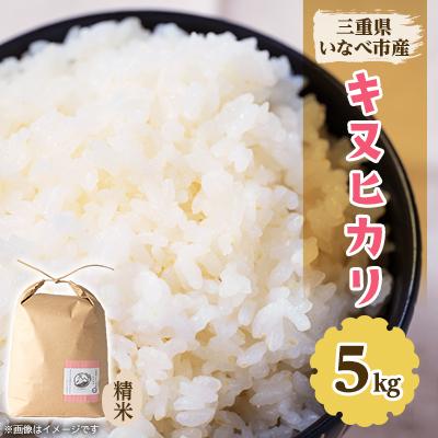 ふるさと納税 いなべ市 令和7年産 キヌヒカリ 5kg
