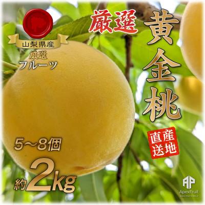 ふるさと納税 山梨市 【2027年発送先行受付】山梨市産 黄金桃 約2kg(5