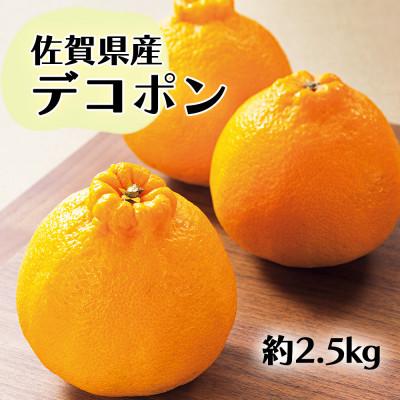 ふるさと納税 鳥栖市 [2027年発送先行受付]佐賀産 デコポン8-12玉(約2.5kg箱)(鳥栖市)