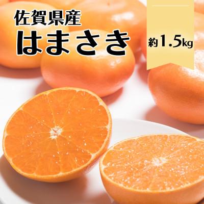 ふるさと納税 鳥栖市 [2027年発送先行受付]佐賀産柑橘「はまさき」約1.5kg箱(5-8玉)(鳥栖市)