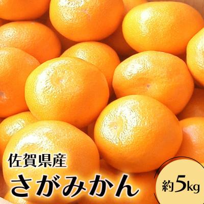 ふるさと納税 鳥栖市 [10月中旬より順次発送]柑橘の名産地 佐賀産さがみかん約5kg箱(鳥栖市)