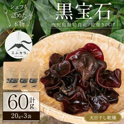 ふるさと納税 姶良市 鹿児島県 姶良市産 国産 乾燥 きくらげ (黒宝石) 計60g(20g×3袋) [姶良のアグリM〜]