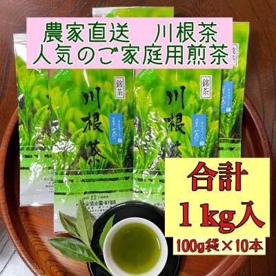 ふるさと納税 島田市 川根茶 ご家庭用 普通煎茶やまびこ1kg (100g袋×10袋セット)