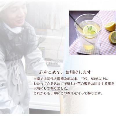 ふるさと納税 富山市 富山県産水島柿蜂蜜500g 2本セットの画像