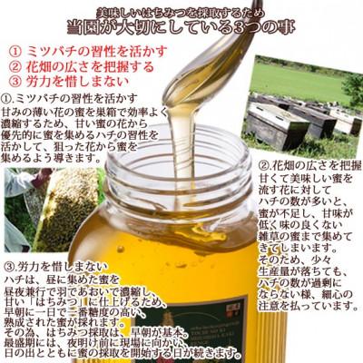ふるさと納税 富山市 富山県産レンゲ蜂蜜500g×1本・水島柿蜂蜜500g×1本 セットの画像
