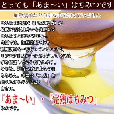 ふるさと納税 富山市 富山県産水島柿蜂蜜500g×1本・トチの木蜂蜜500g×1本　セット_1