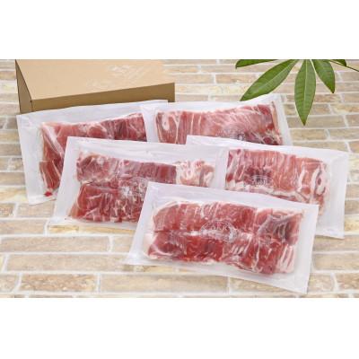 ふるさと納税 姶良市 鹿児島県産黒豚ウデ肉切り落とし5パック(1.5kg)