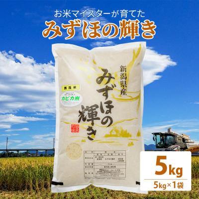 ふるさと納税 上越市 令和7年産 お米マイスターが育てた上越産みずほの輝き 5kg(5kg×1)無洗米精米