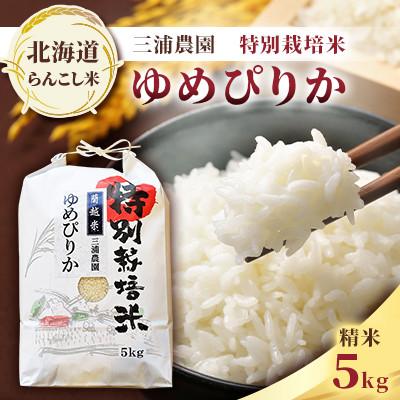 ふるさと納税 蘭越町 令和7年産 らんこし米 三浦農園 特別栽培米 精米 ゆめぴりか 5kg