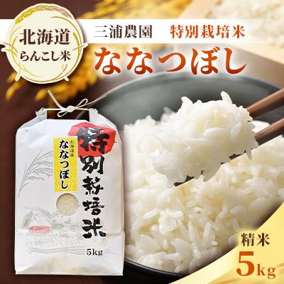 ふるさと納税 蘭越町 令和7年産 らんこし米 三浦農園 特別栽培米 精米 ななつぼし5kg