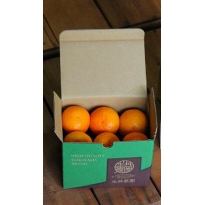 ふるさと納税 湯浅町 2026年4月より順次発送 主井農園の高級カラマンダリン お試し用1kg