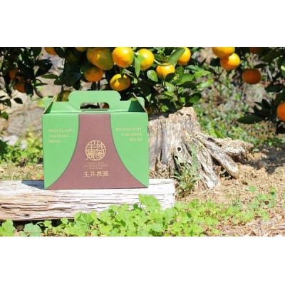 ふるさと納税 湯浅町 2026年4月下旬より順次発送 主井農園の高級セミノール サイズ混合 2kg