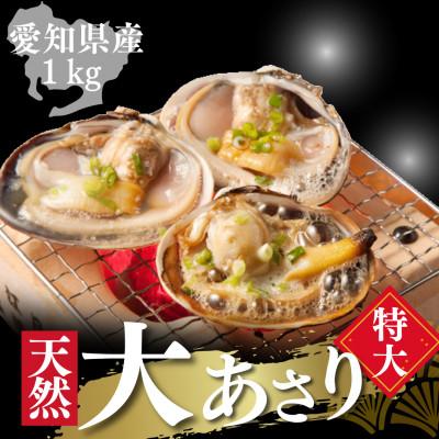 ふるさと納税 南知多町 [希少!漁師直送]純国産 天然大アサリ 半割り冷凍 特大サイズ1kg|バーベキューに・下処理済み
