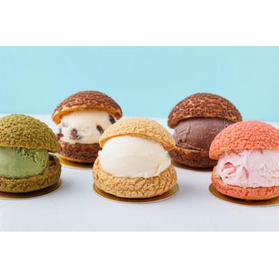 ふるさと納税 藤井寺市 シューアイス 10コセット
