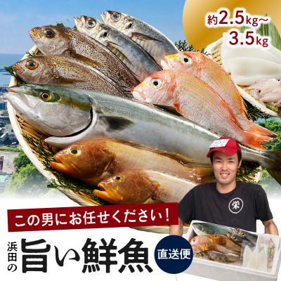 ふるさと納税 浜田市 この男に任せてみませんか〜浜田の旨い鮮魚直送便〜