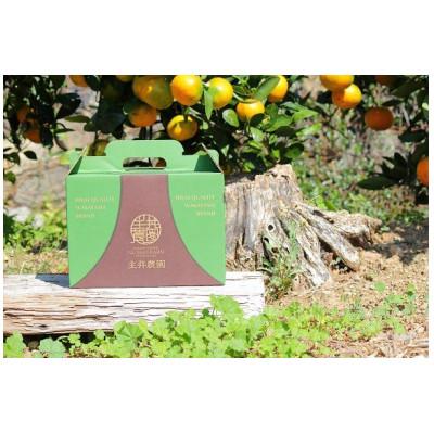 ふるさと納税 湯浅町 2026年2月中旬より発送 主井農園の高級せとか サイズ混合 2kg