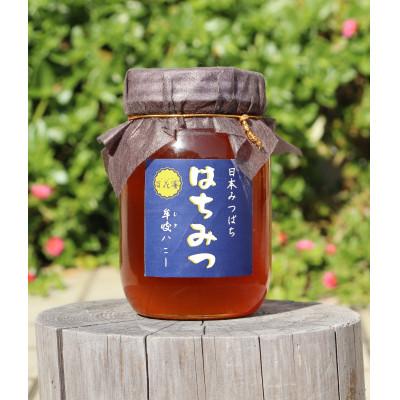 ふるさと納税 牟岐町 牟岐ハニー 日本ミツバチの百花蜜 600g