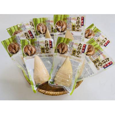 ふるさと納税 さつま町 たけのこ水煮 トライカット詰め合わせ