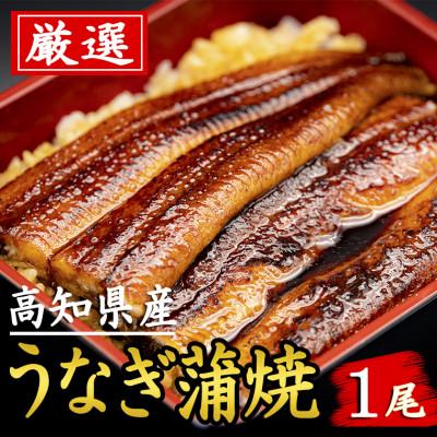 ふるさと納税 安芸市 高知県産うなぎ(1尾)