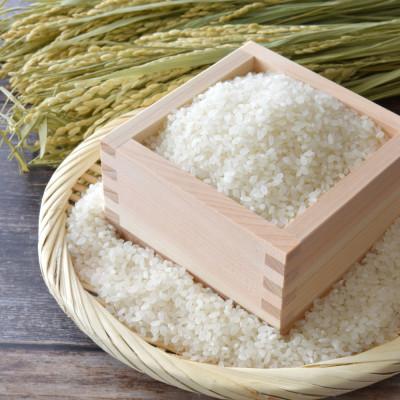 ふるさと納税 芸西村 令和7年産　無洗米コシヒカリ3キロ |  | 01